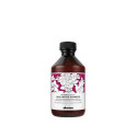 Niisutav šampoon Davines Replumping 100 ml