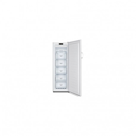 Gorenje FN4172CW