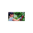 Einhell GE-GS 18 Li-Solo pruning shears Bypass Black, Red