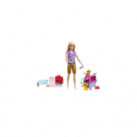 Barbie Doll and Accessories