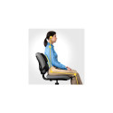 Fellowes Back Support for Office Chair - Professional Series Ultimate Back Support with Antibacteria