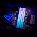 ADATA LANCER BLADE RGB memory module 32 GB 2 x 16 GB DDR5 6000 MHz ECC