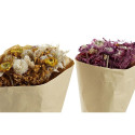 Bunch DKD Home Decor Fuchsia Yellow Dried flower (20 x 12 x 50 cm) (2 Units)