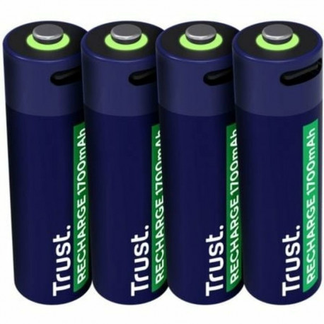 Patareid Trust 25631