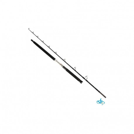 Saltwater rod SFT Ocean Guide 2.10m 300-1000g 2sec