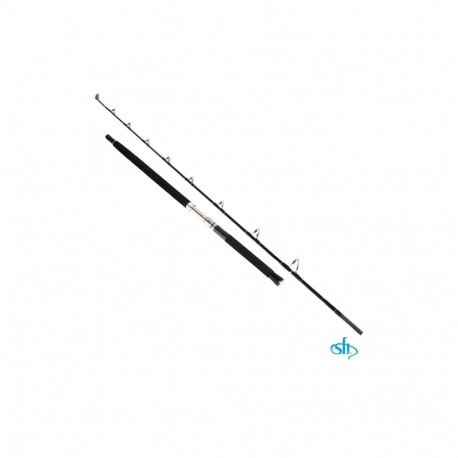 Merevee ritv SFT Ocean Guide 2,10m 300-1000g 2sec Roller