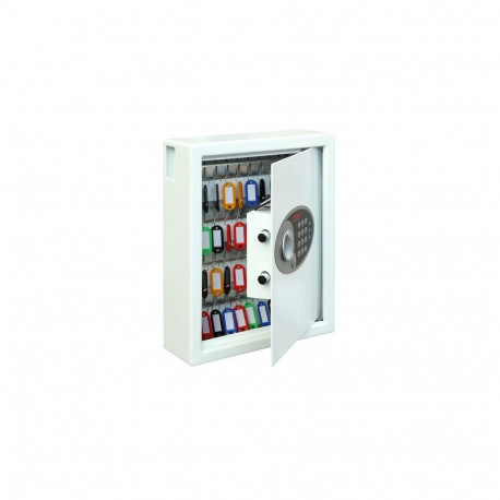 Phoenix Safe Co. Cygnus KS0032E Metal White