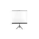 Avtek International Tripod Standard 200 projection screen 16:10