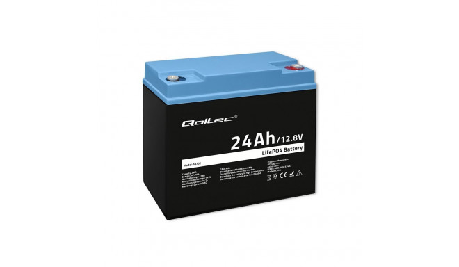 LiFePO4 battery 12.8V, 24Ah, 307.2Wh,BM