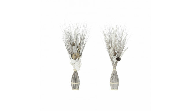 Lillekimp DKD Home Decor Kwiaty Kookoskiud (2 pcs) (40 x 40 x 100 cm)