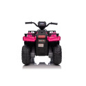 Quad JC915 roosa akuga