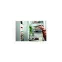Electrolux EVFB1 Rectangular Set Green, Transparent 2 pc(s)