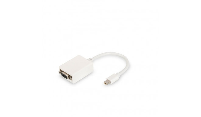 DisplayPort-VGA Adapter Digitus by Assmann DB-340407-001-W Valge Must 15 cm