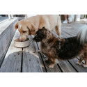 Dog Feeder Hunter OSBY