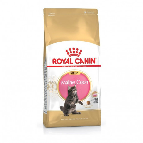 Dry Cat Food - Royal Canin Maine Coon Fbn Kitten 400g
