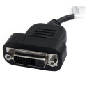 StarTech.com DisplayPort to DVI Adapter - Active DisplayPort to DVI-D Adapter/Video Converter 1080p 