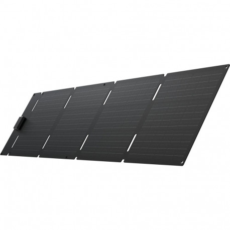 EcoFlow 60W - päikesepaneel Type-C
