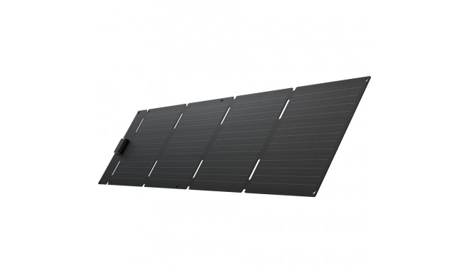 EcoFlow 60W - päikesepaneel Type-C
