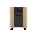 Epson mobiilne A/V kapp ELPCS01