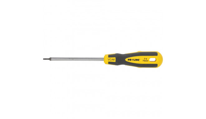 Torx T6 kruvikeeraja 75 mm