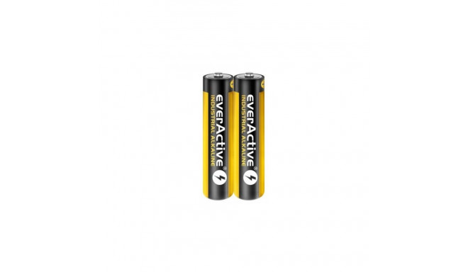 Battery - Everactive Lr03 Aaa 40 Pieces