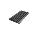 Keyboard - A4Tech FSTYLER FK11 USB Adjustable Black