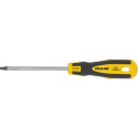 10193 Wkrętak torx security T25