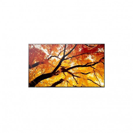 Monitor wielkoformatowy MultiSync M552 55 cali 550cd/m2 24/7
