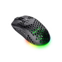 MOUSE GXT929 HELOXWIRELESS TRUST