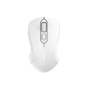 Juhtmevaba hiir Dareu LM115G 2.4G 800-1600 DPI (valge)