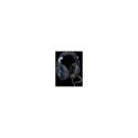 Trust GXT 488 Forze-B PS4 sinine peakomplekt