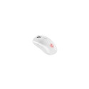 MSI Versa  300 Wireless Mouse