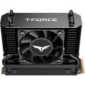 Team Group T-Force GE Pro 4 TB (black/gold, PCIe 5.0 x4 | M.2 2280 | AirFlow I heatsink)