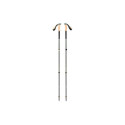 Black Diamond Trekking Poles Trail Cork (green/beige, 1 pair, 100-140 cm)