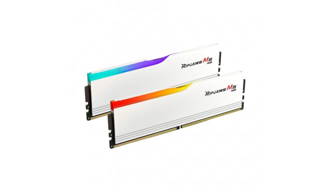 G.Skill DDR5 - 64GB - 6000 - CL - 28 (2x 32 GB) Dual Kit, RAM (F5-6000J2836G32GX2-RM5RW, Ripjaws M5,