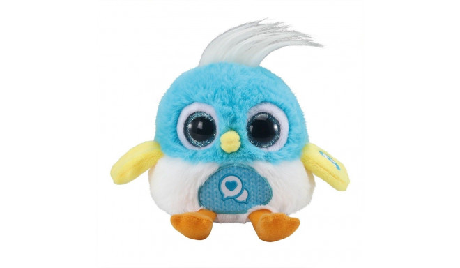 Lolibirds - Pauly