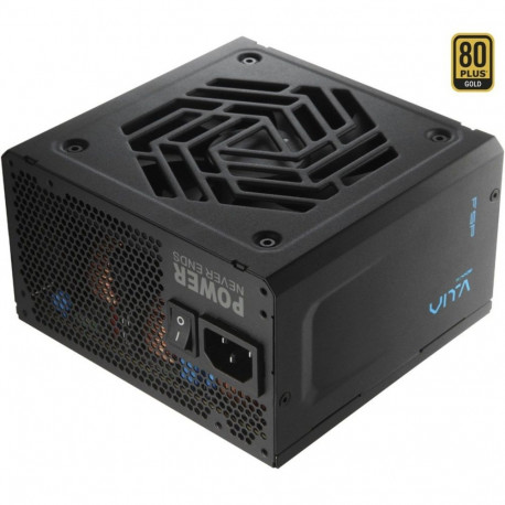 FSP VITA GD 550W, PC power supply (4x PCIe, 550 Watt)
