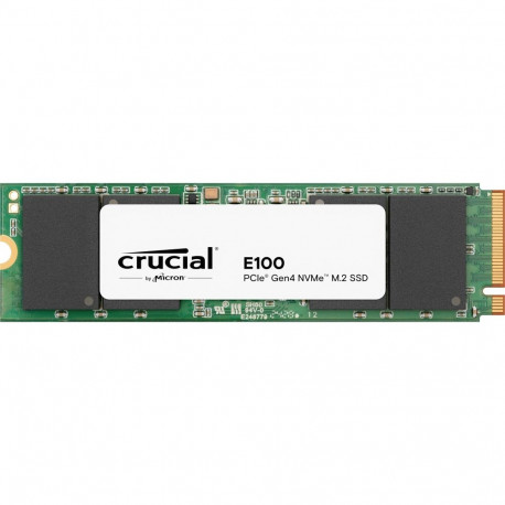 SSD-mäluseade E100 480GB (PCIe 4.0 x4, NVMe, M.2 2280)