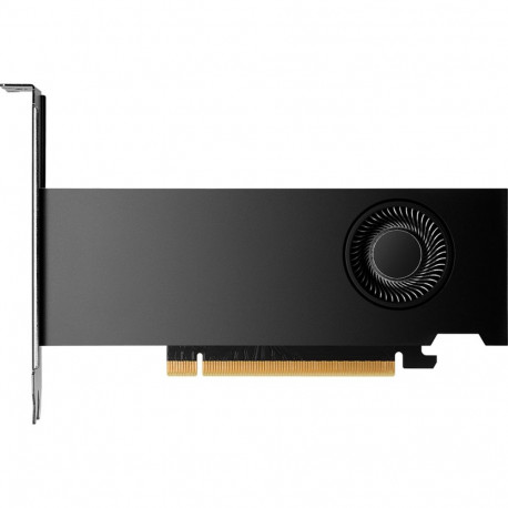 NVIDIA graafikakaart RTX 2000 Ada Generation 16GB SB