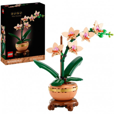 10343 Botanicals Mini-Orchidee