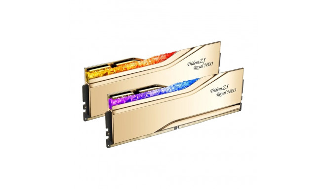 G.Skill DDR5 - 32GB - 6000 - CL - 28 (2x 16 GB) dual kit, RAM (gold, F5-6000J2836G16GX2-TR5NG, Tride