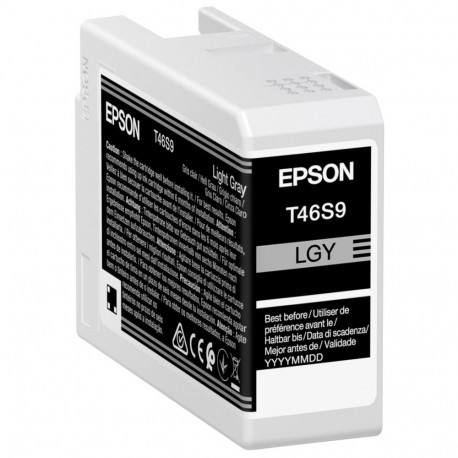 Epson ink light gray T46S9 (C13T46S900) (Ultrachrome PRO 10)