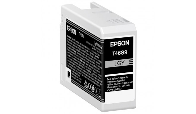 Epson ink light gray T46S9 (C13T46S900) (Ultrachrome PRO 10)