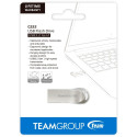 Team Group C222 256 GB, USB stick (silver, USB-A 3.2 Gen 1)