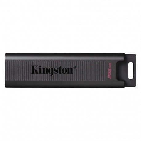 Kingston MEMORY DRIVE FLASH USB3.2/256GB DTMAX/256GB