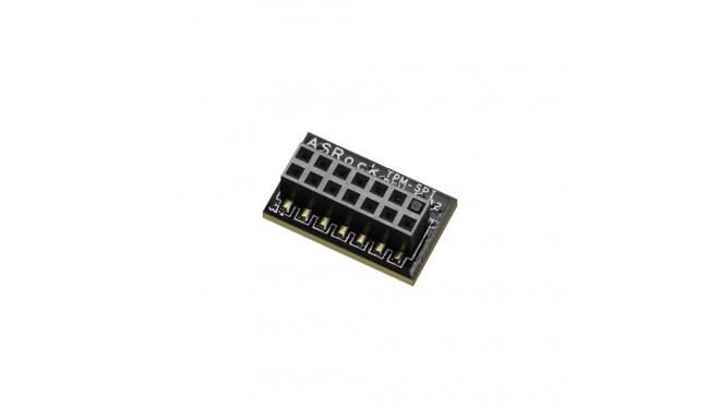 Asrock 90-MCA080-00UBNZ trusted platform module (TPM) SPI
