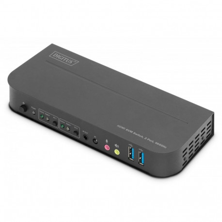 KVM switch - 2 ports DS-12874