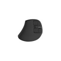 Vertical Mouse Natec Euphonie Pro Wireless