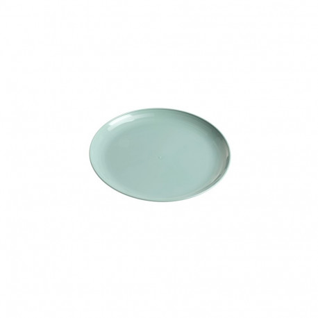 SHALLOW BIG PLASTIC PLATE. GREEN