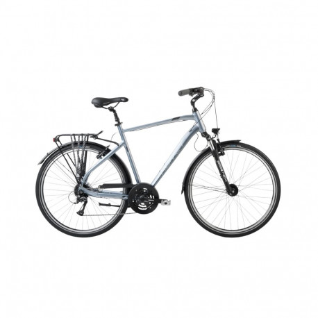 ROMET Wagant 5 (2024) 28" 23" XL, hõbe-hall